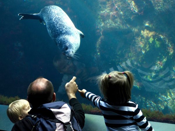 2021-07-Oceanopolis-
