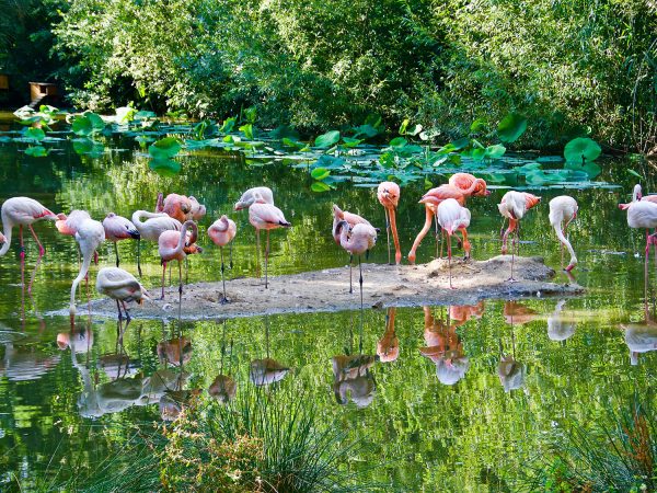 Concours-photo-branfere-2018-gagnant