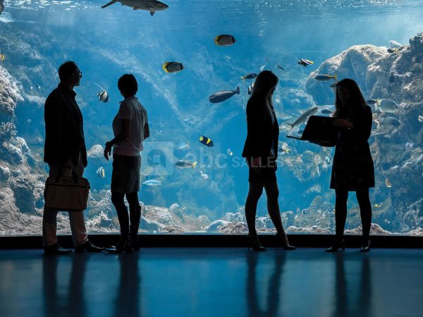 oceanopolis-12