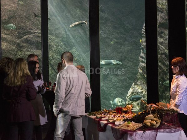oceanopolis-5