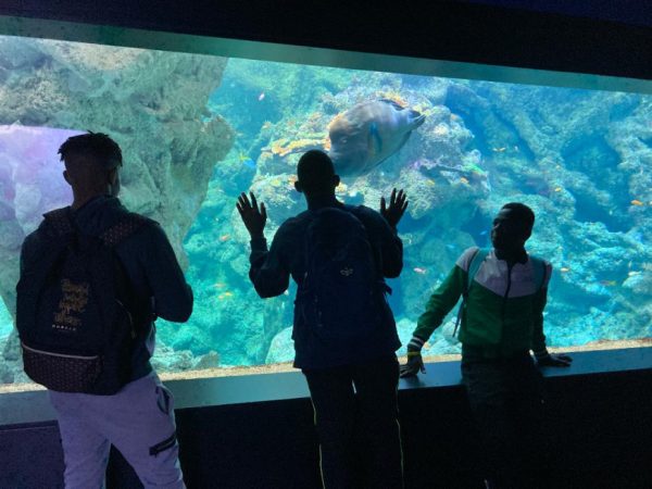 photo_3_oceanopolis-25385